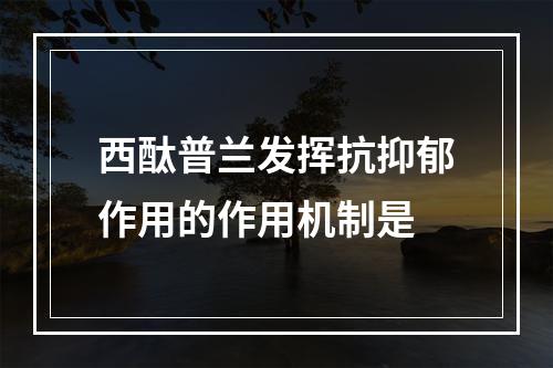 西酞普兰发挥抗抑郁作用的作用机制是