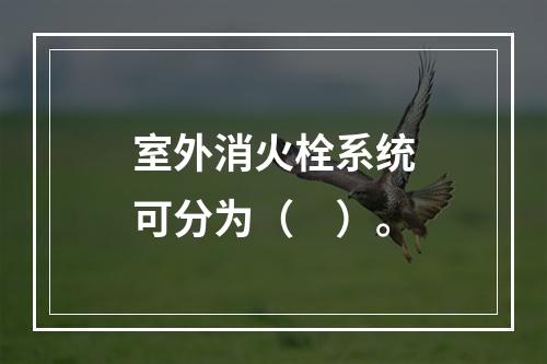 室外消火栓系统可分为（　）。