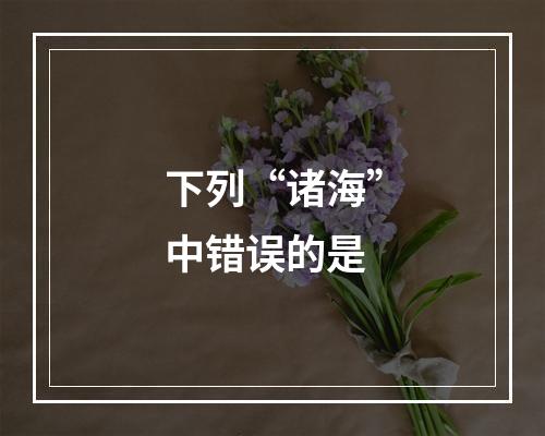 下列“诸海”中错误的是