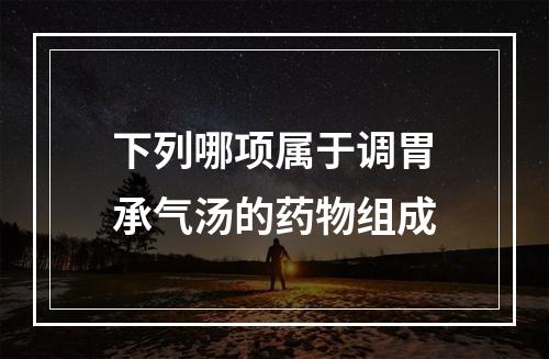 下列哪项属于调胃承气汤的药物组成