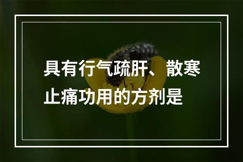 具有行气疏肝、散寒止痛功用的方剂是