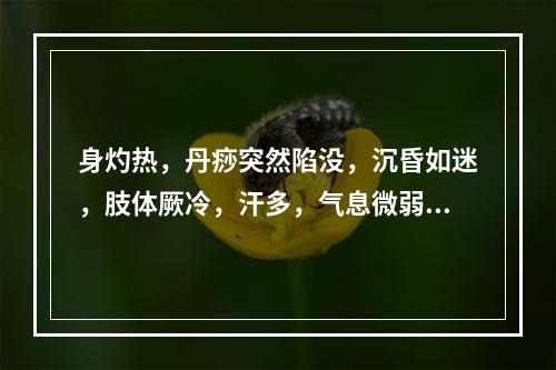 身灼热，丹痧突然陷没，沉昏如迷，肢体厥冷，汗多，气息微弱，脉