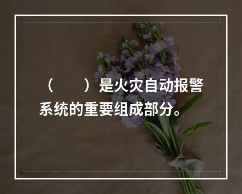 （  ）是火灾自动报警系统的重要组成部分。