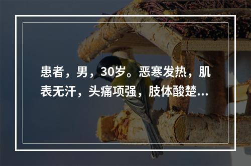 患者，男，30岁。恶寒发热，肌表无汗，头痛项强，肢体酸楚疼痛