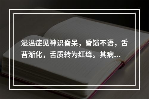 湿温症见神识昏呆，昏馈不语，舌苔渐化，舌质转为红绛。其病机为