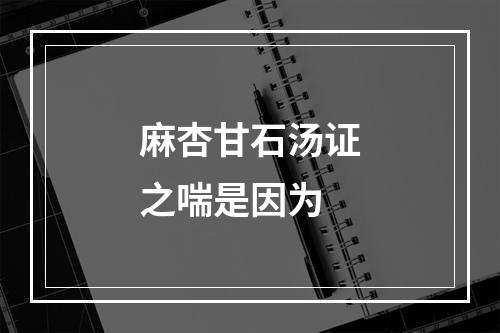 麻杏甘石汤证之喘是因为