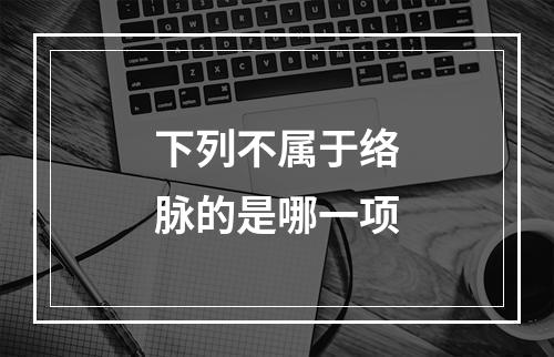 下列不属于络脉的是哪一项