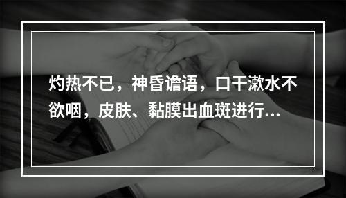 灼热不已，神昏谵语，口干漱水不欲咽，皮肤、黏膜出血斑进行性扩