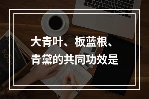 大青叶、板蓝根、青黛的共同功效是