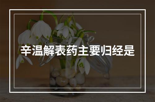 辛温解表药主要归经是