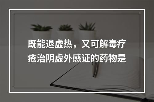 既能退虚热，又可解毒疗疮治阴虚外感证的药物是