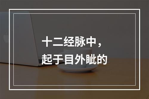 十二经脉中，起于目外眦的