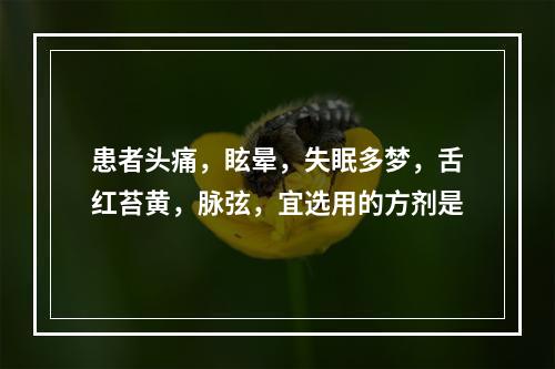 患者头痛，眩晕，失眠多梦，舌红苔黄，脉弦，宜选用的方剂是