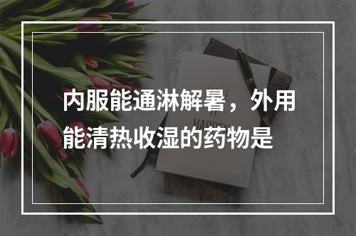 内服能通淋解暑，外用能清热收湿的药物是