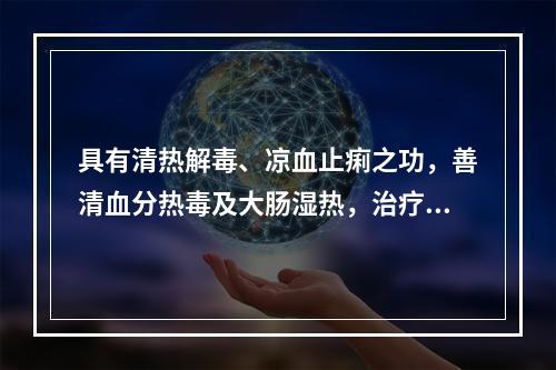 具有清热解毒、凉血止痢之功，善清血分热毒及大肠湿热，治疗热毒