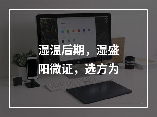 湿温后期，湿盛阳微证，选方为