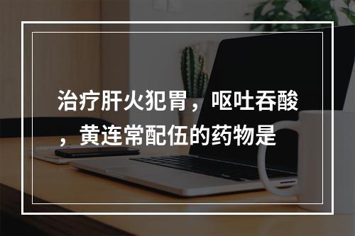 治疗肝火犯胃，呕吐吞酸，黄连常配伍的药物是