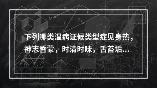 下列哪类温病证候类型症见身热，神志昏蒙，时清时昧，舌苔垢腻，