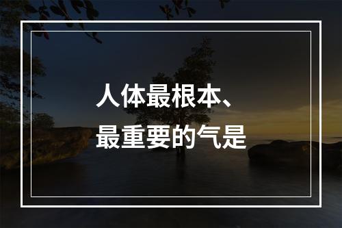 人体最根本、最重要的气是