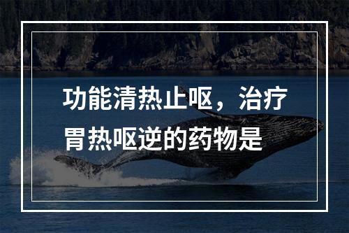 功能清热止呕，治疗胃热呕逆的药物是