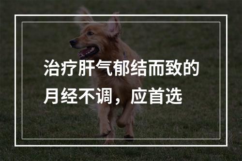 治疗肝气郁结而致的月经不调，应首选