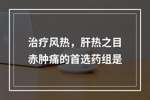 治疗风热，肝热之目赤肿痛的首选药组是