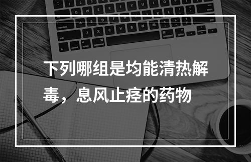 下列哪组是均能清热解毒，息风止痉的药物