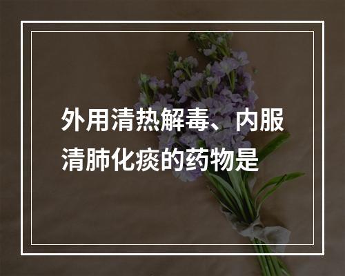 外用清热解毒、内服清肺化痰的药物是