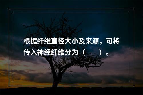 根据纤维直径大小及来源，可将传入神经纤维分为（　　）。