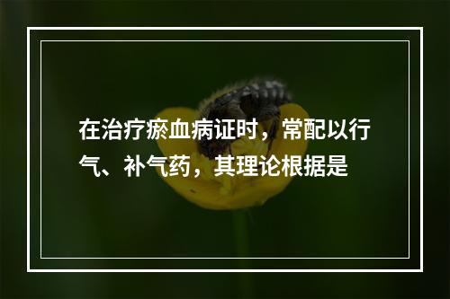 在治疗瘀血病证时，常配以行气、补气药，其理论根据是