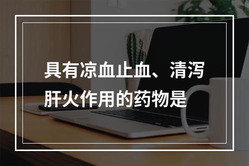 具有凉血止血、清泻肝火作用的药物是