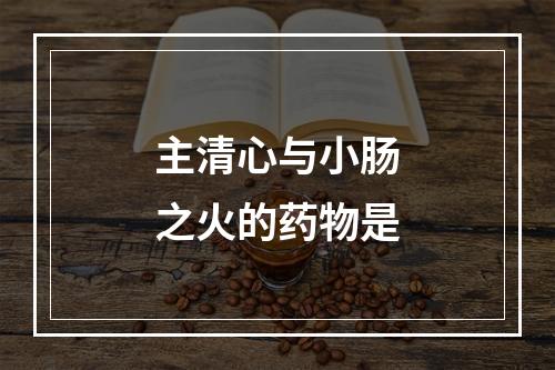 主清心与小肠之火的药物是