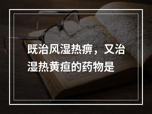 既治风湿热痹，又治湿热黄疸的药物是