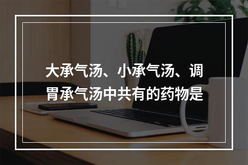 大承气汤、小承气汤、调胃承气汤中共有的药物是