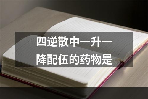 四逆散中一升一降配伍的药物是