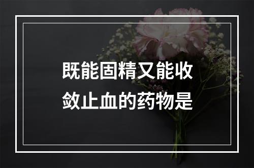 既能固精又能收敛止血的药物是