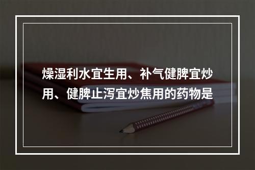 燥湿利水宜生用、补气健脾宜炒用、健脾止泻宜炒焦用的药物是