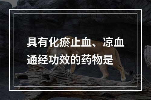 具有化瘀止血、凉血通经功效的药物是