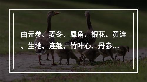 由元参、麦冬、犀角、银花、黄连、生地、连翘、竹叶心、丹参组成