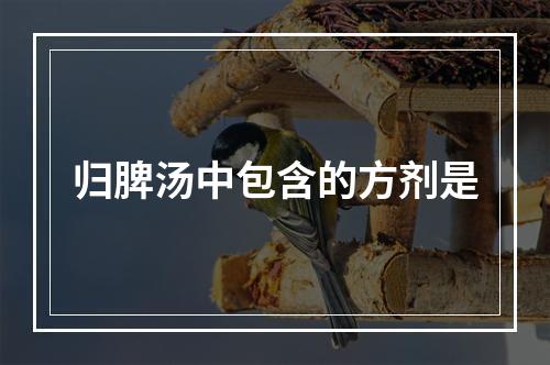 归脾汤中包含的方剂是