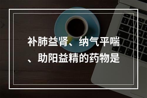 补肺益肾、纳气平喘、助阳益精的药物是