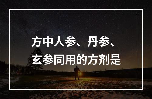 方中人参、丹参、玄参同用的方剂是