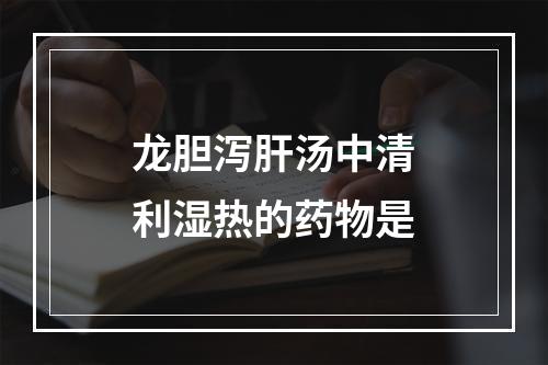 龙胆泻肝汤中清利湿热的药物是