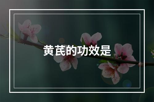 黄芪的功效是