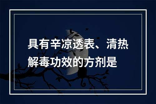 具有辛凉透表、清热解毒功效的方剂是