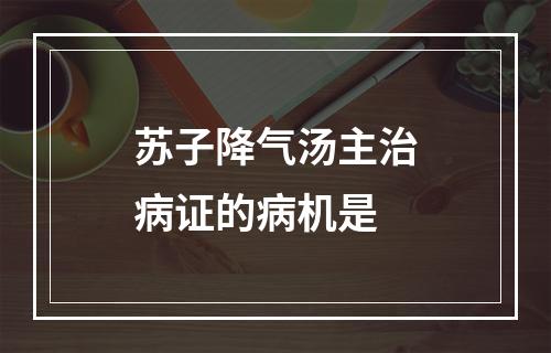 苏子降气汤主治病证的病机是