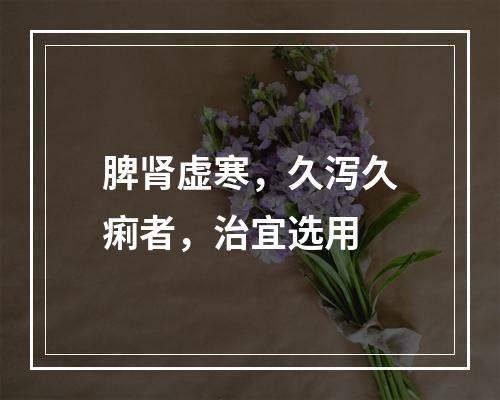 脾肾虚寒，久泻久痢者，治宜选用