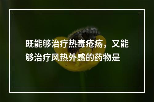 既能够治疗热毒疮疡，又能够治疗风热外感的药物是