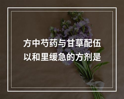 方中芍药与甘草配伍以和里缓急的方剂是