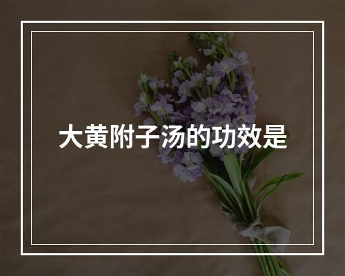 大黄附子汤的功效是